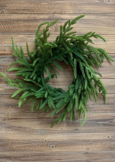 Fresh Touch Norfolk Pine Wreath 24