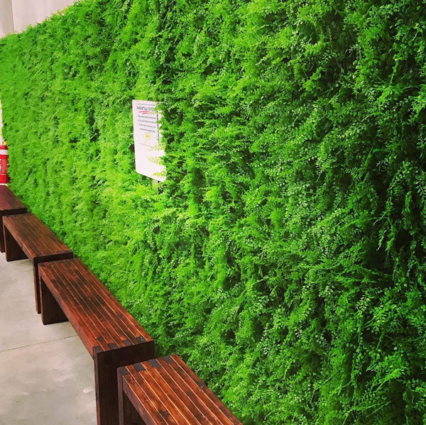 Plant Wall Fern Not Just For The Garden Metal Wall Art Home Decor