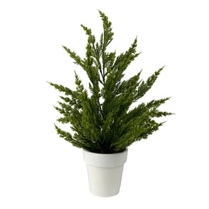 18" Cypress Bush - Potted-Not Just For The Garden | Metal Art | Décor for Homes, Walls and Gardens | Furniture | Custom Garden Planters and Flower Arrangements | Gifts | Best in KW