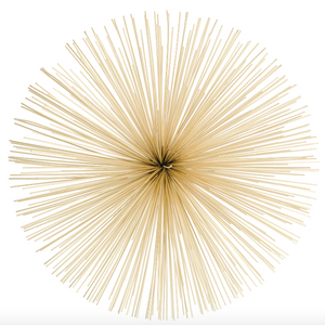 Wall Decor Spike - Silver or Gold - 3 Assorted Sizes-Not Just For The Garden | Metal Art | Décor for Homes, Walls and Gardens | Furniture | Custom Garden Planters and Flower Arrangements | Gifts | Best in KW