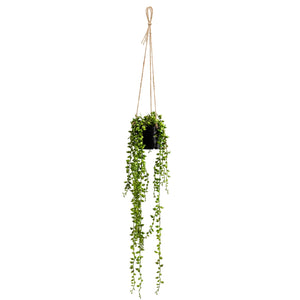 String Of Pearls Succulent Hanging Faux Potted Plant with String Hanger-Not Just For The Garden | Metal Art | Décor for Homes, Walls and Gardens | Furniture | Custom Garden Planters and Flower Arrangements | Gifts | Best in KW