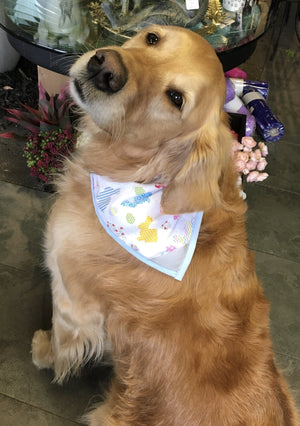 Dog Bandana Easter-Not Just For The Garden | Metal Art | Décor for Homes, Walls and Gardens | Furniture | Custom Garden Planters and Flower Arrangements | Gifts | Best in KW