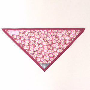 Dog Bandana Everyday Assorted-Not Just For The Garden | Metal Art | Décor for Homes, Walls and Gardens | Furniture | Custom Garden Planters and Flower Arrangements | Gifts | Best in KW