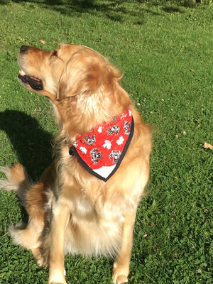 Dog Bandana Maple Leaf-Not Just For The Garden | Metal Art | Décor for Homes, Walls and Gardens | Furniture | Custom Garden Planters and Flower Arrangements | Gifts | Best in KW