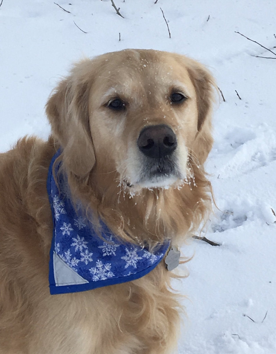 Dog Bandana Snowflake