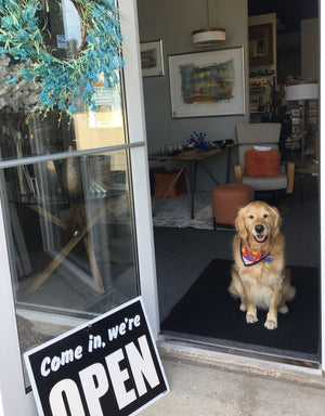 Dog Bandana Sports-Not Just For The Garden | Metal Art | Décor for Homes, Walls and Gardens | Furniture | Custom Garden Planters and Flower Arrangements | Gifts | Best in KW