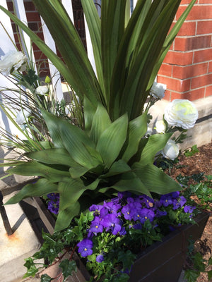 Spring Planter all faux & Fresh-Not Just For The Garden | Metal Art | Décor for Homes, Walls and Gardens | Furniture | Custom Garden Planters and Flower Arrangements | Gifts | Best in KW