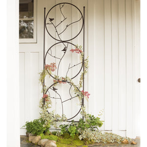 Trellis Circle of Birds-Not Just For The Garden | Metal Art | Décor for Homes, Walls and Gardens | Furniture | Custom Garden Planters and Flower Arrangements | Gifts | Best in KW