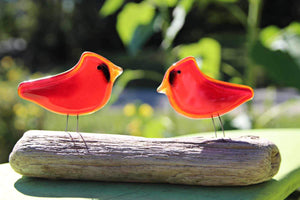Cardinals in all shapes and sizes
