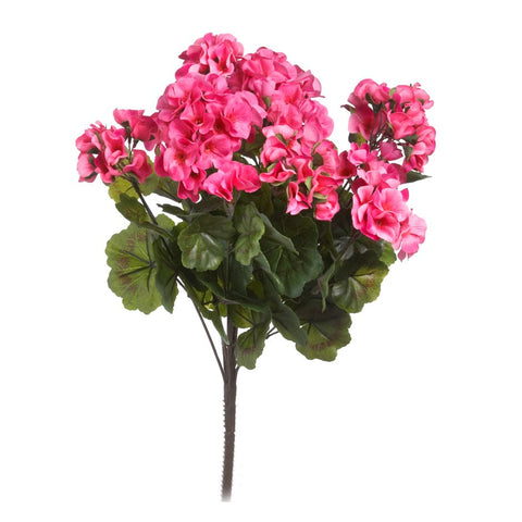 Outdoor Plants &amp; Florals