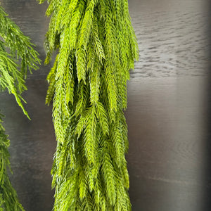 Holiday Norfolk Pine Garland - asst sizes