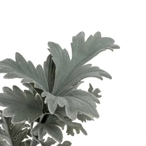 26" Dusty Miller Leaf Spray-Not Just For The Garden | Metal Art | Décor for Homes, Walls and Gardens | Furniture | Custom Garden Planters and Flower Arrangements | Gifts | Best in KW