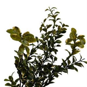 26" Golden Euonymus Spray-Not Just For The Garden | Metal Art | Décor for Homes, Walls and Gardens | Furniture | Custom Garden Planters and Flower Arrangements | Gifts | Best in KW
