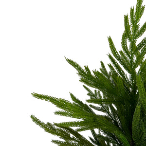 28" Fresh Touch Norfolk Pine Tree - Potted-Not Just For The Garden | Metal Art | Décor for Homes, Walls and Gardens | Furniture | Custom Garden Planters and Flower Arrangements | Gifts | Best in KW