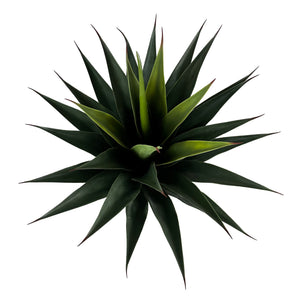48" Faux Sansevieria Agave Plant-Not Just For The Garden | Metal Art | Décor for Homes, Walls and Gardens | Furniture | Custom Garden Planters and Flower Arrangements | Gifts | Best in KW