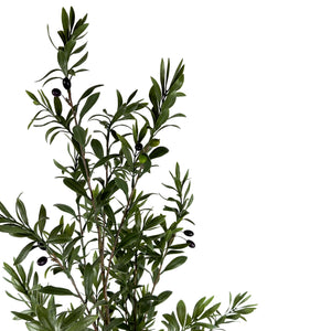54" Faux Olive Bush-Not Just For The Garden | Metal Art | Décor for Homes, Walls and Gardens | Furniture | Custom Garden Planters and Flower Arrangements | Gifts | Best in KW