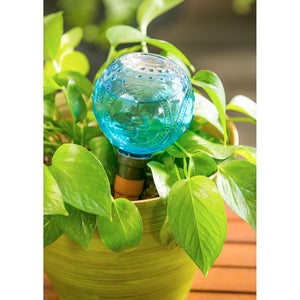 Plant Watering Globe Embossed GlassLight Blue