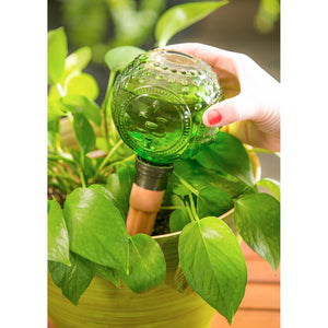 Plant Watering Globe Embossed Glass Green