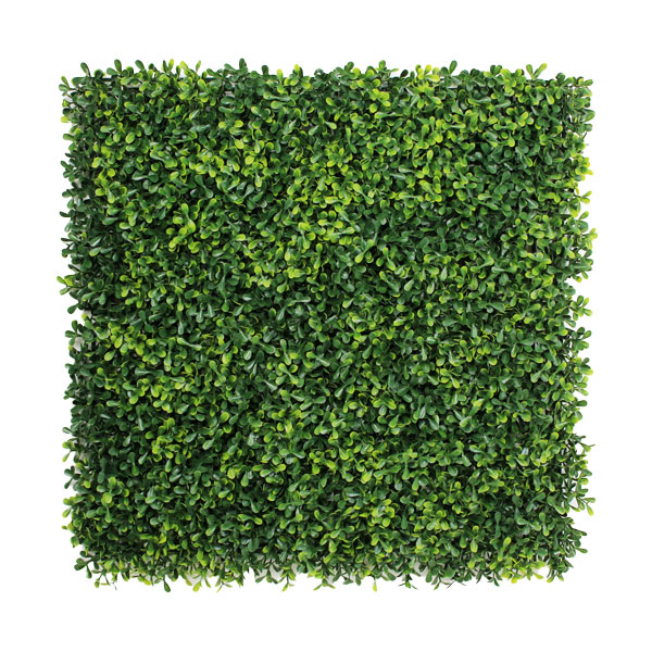 Plant Wall Boxwood Light