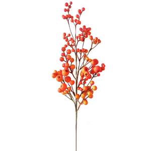 Berry Branch Outdoor Orange