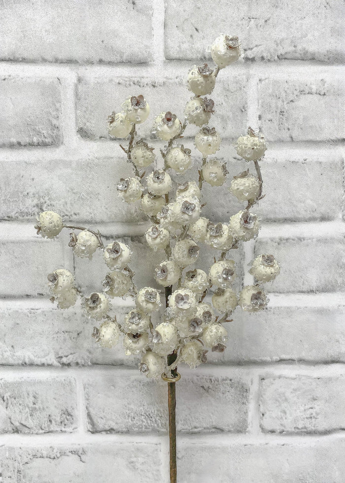 Berry Spray Iced Cream 17"