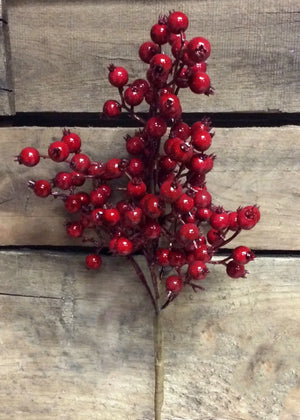Berry Spray Red 18" outdoor