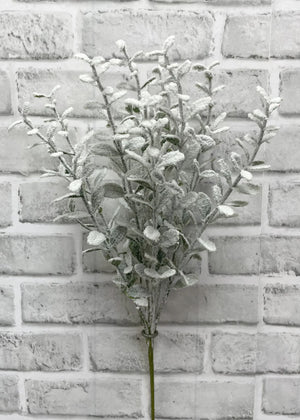 Boxwood Bush Snowy 19"