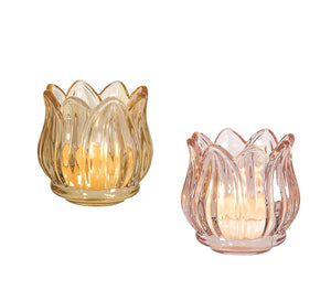 Candle Holder Glass Tulip (N36144)