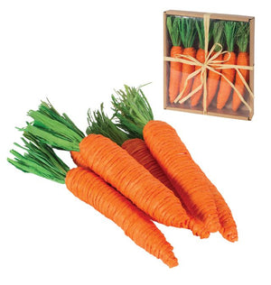 Carrots set 6 Orange (N19524)