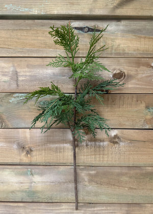 Cedar Northern Wh 28" Spray Fresh Touch