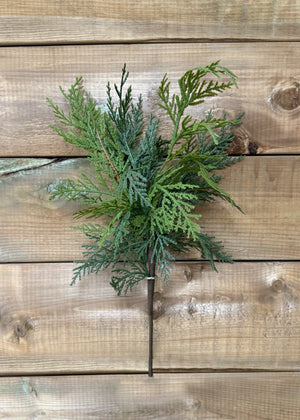 Cedar Northern White 17" Spray Fresh Touch
