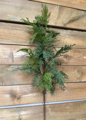Cedar Northern Wh 34" Spray Fresh Touch