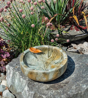 Autumn Leaf Bird Bath Bowl Concrete
