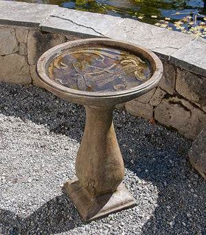 Bird Bath Dragonfly