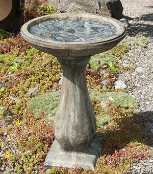 Bird Bath Hummingbird Tall