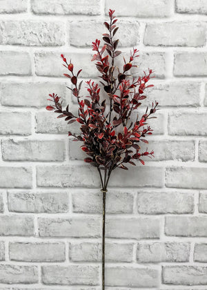 Euonymous Spray Burgundy 26"