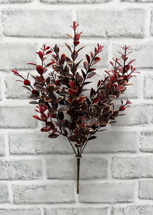 Euonymous Bush Burgundy 14"