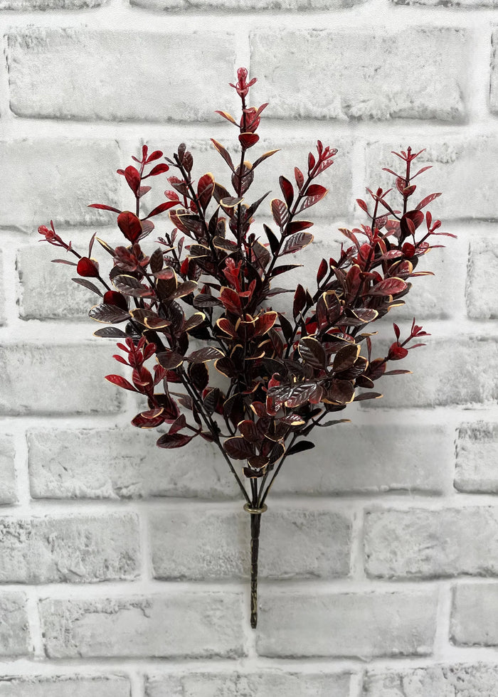 Euonymous Bush Burgundy 14"