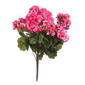 UV Bush Geranium Fuchsia