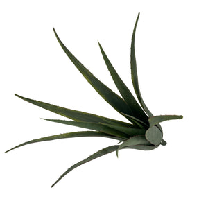 21" Faux Aloe Plant-Not Just For The Garden | Metal Art | Décor for Homes, Walls and Gardens | Furniture | Custom Garden Planters and Flower Arrangements | Gifts | Best in KW