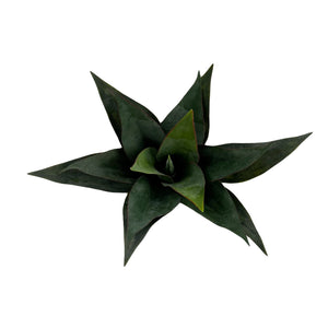 13" Mini Agave Faux Plant-Not Just For The Garden | Metal Art | Décor for Homes, Walls and Gardens | Furniture | Custom Garden Planters and Flower Arrangements | Gifts | Best in KW