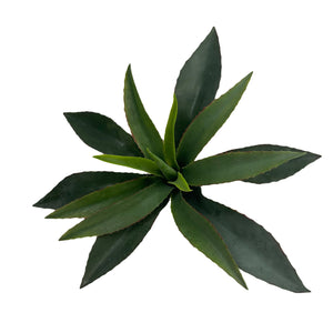 15" Faux Star Succulent-Not Just For The Garden | Metal Art | Décor for Homes, Walls and Gardens | Furniture | Custom Garden Planters and Flower Arrangements | Gifts | Best in KW