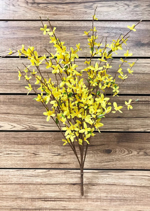 Forsythia Bush 34" (10151)