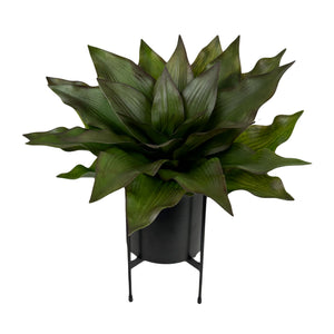 17" Faux Cabbage Plant-Not Just For The Garden | Metal Art | Décor for Homes, Walls and Gardens | Furniture | Custom Garden Planters and Flower Arrangements | Gifts | Best in KW