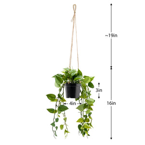 Ivy Hanging Faux Potted Plant With String Hanger-Not Just For The Garden | Metal Art | Décor for Homes, Walls and Gardens | Furniture | Custom Garden Planters and Flower Arrangements | Gifts | Best in KW