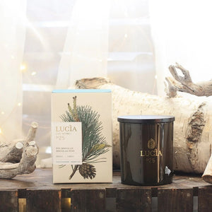 Lucia Douglas Pine Candle - 55 hour