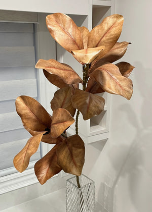 Fall Magnolia Spray Brown 22"