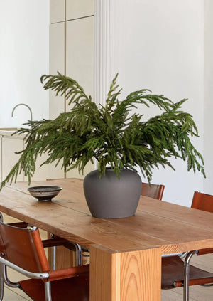 Norfolk Pine Fresh Touch Spray 36"
