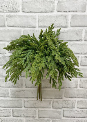 Norfolk Pine Baby Bundle 17"