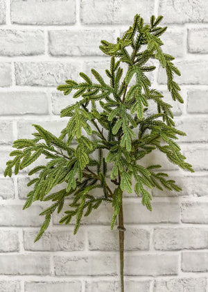 Norfolk Pine Baby 34" Spray